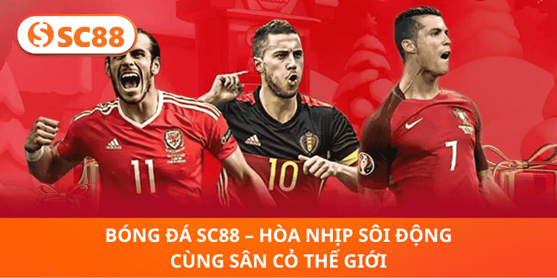Bóng Đá SC88 – Hòa Nhịp Sôi Động Cùng Sân Cỏ Thế Giới